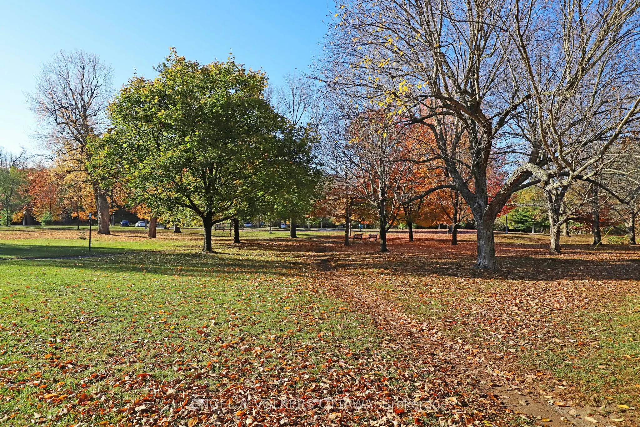 513 Island Park Drive S