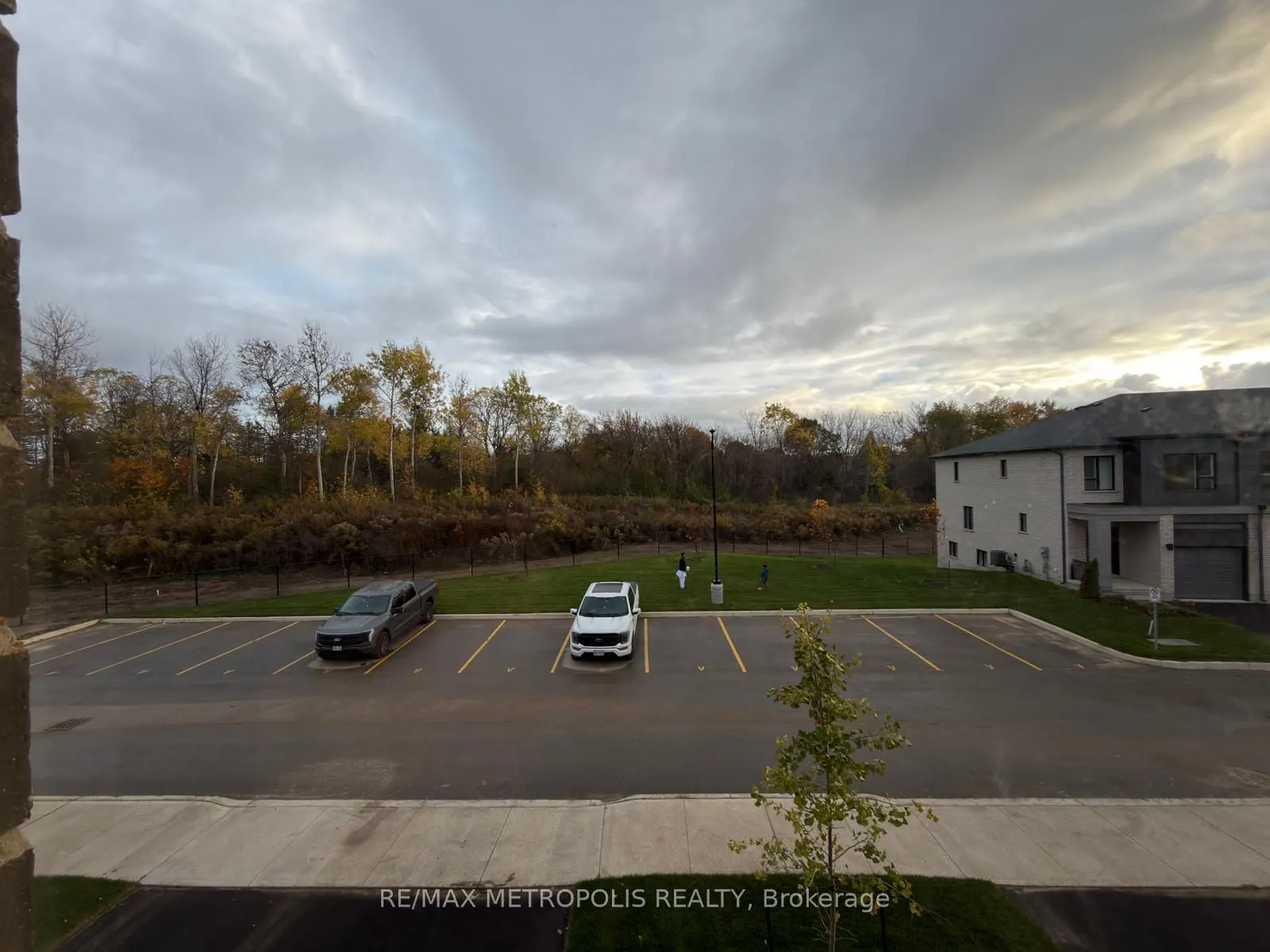 20 OAK FOREST Common