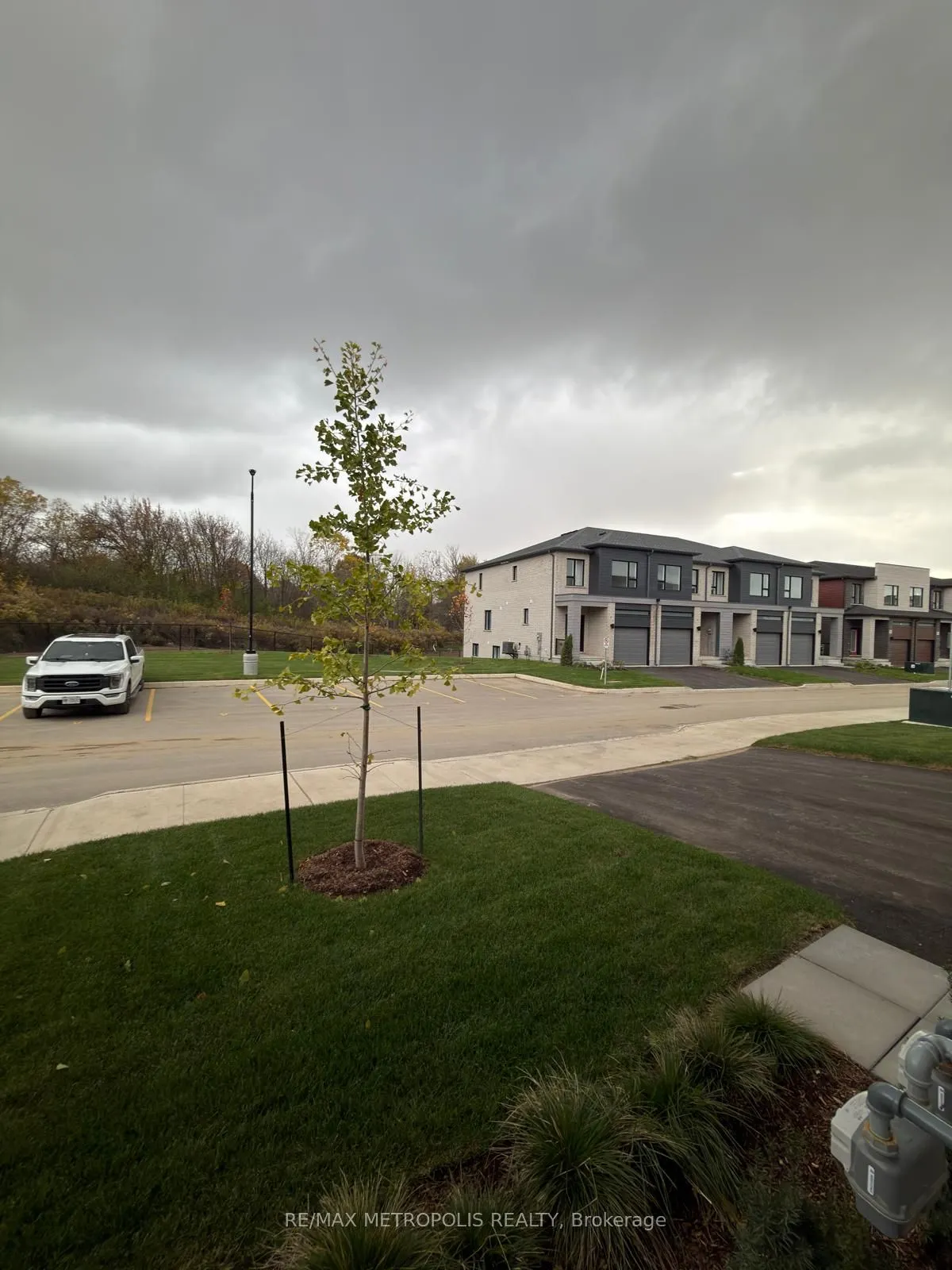 20 OAK FOREST Common