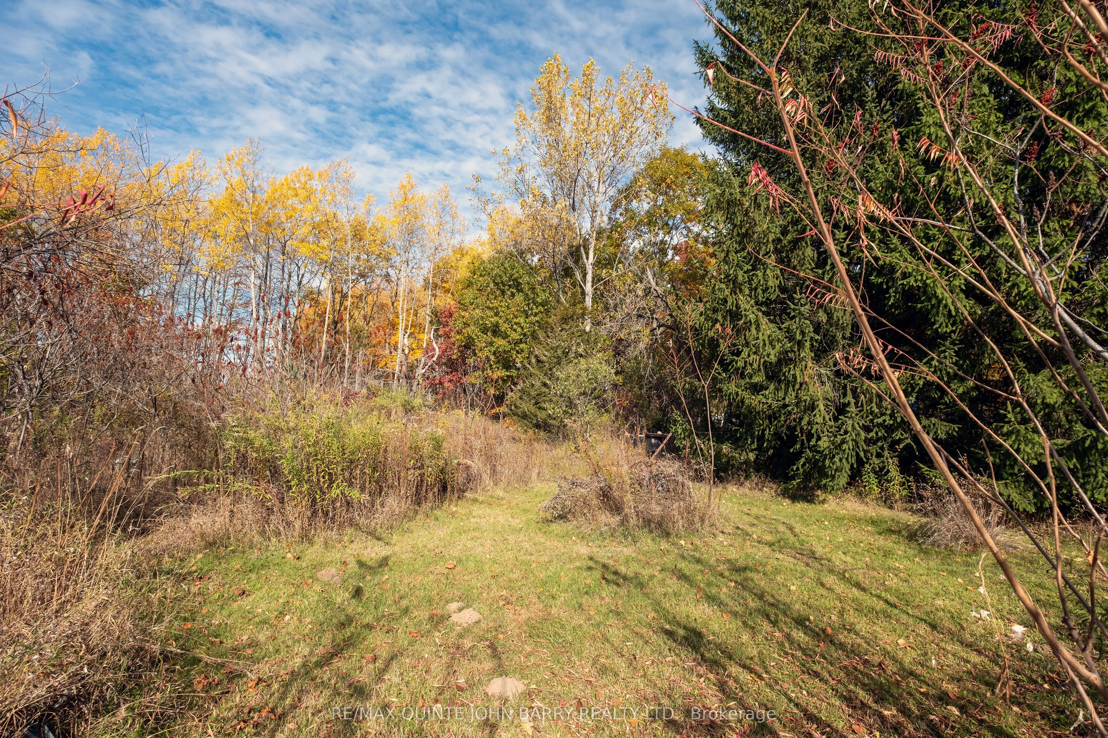 16586 Telephone Road