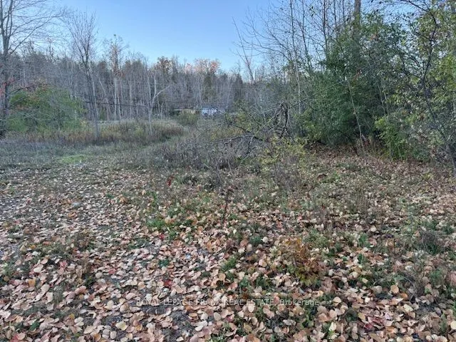 PT LT 20 FIRE ROUTE 121