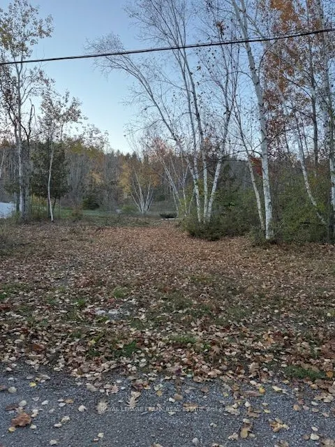 PT LT 20 FIRE ROUTE 121