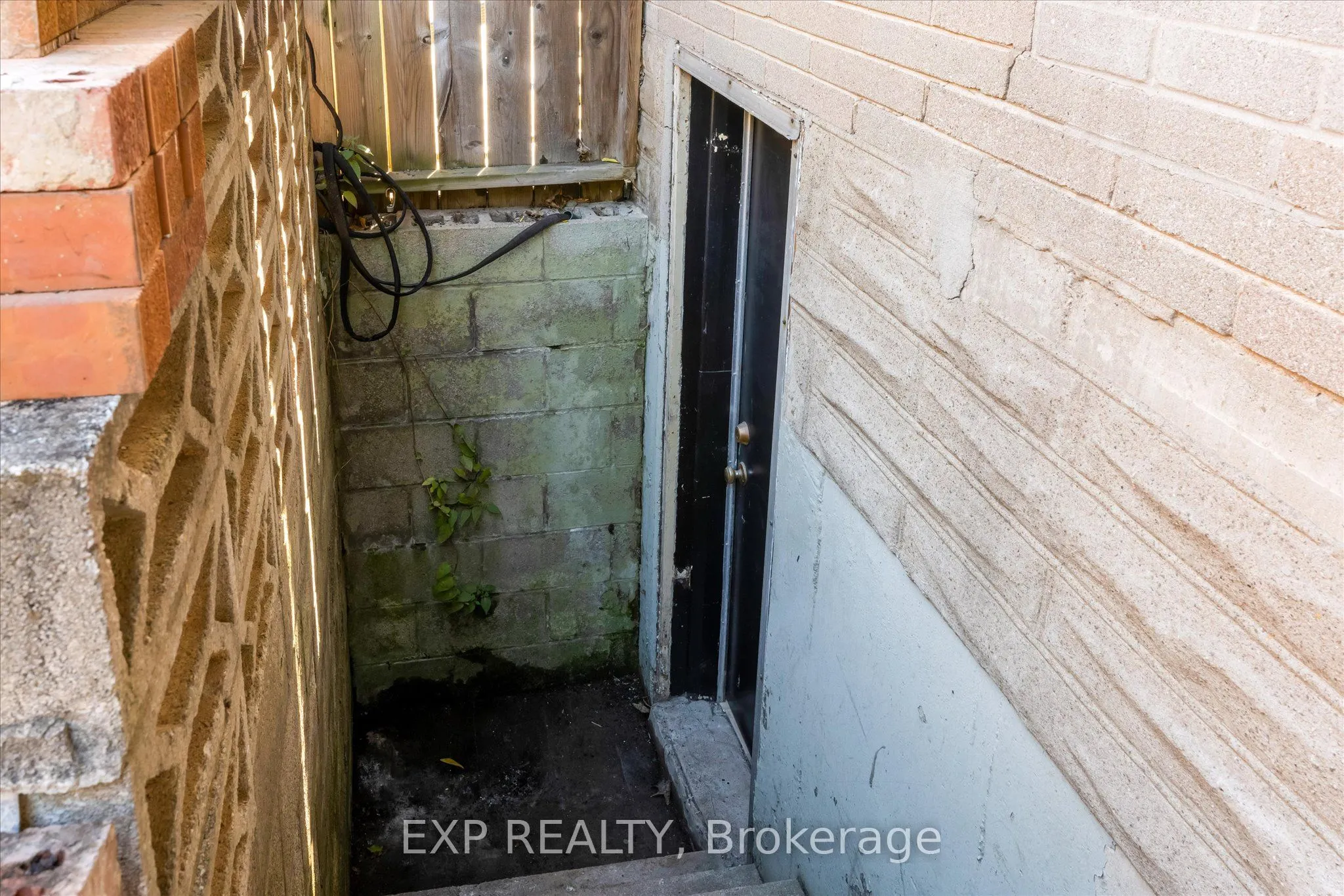 39 Grandfield Street