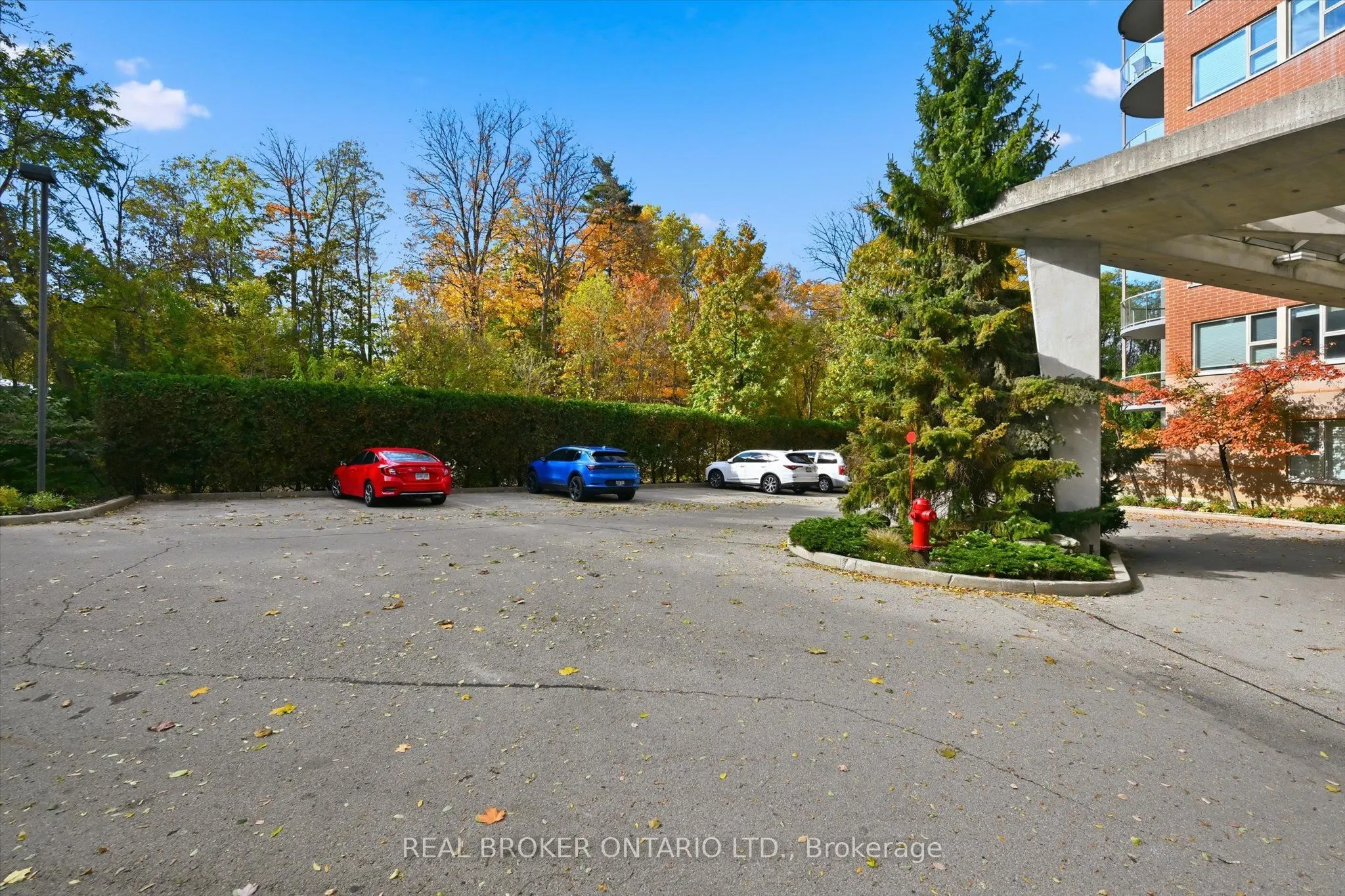 77 Governors Road, #207