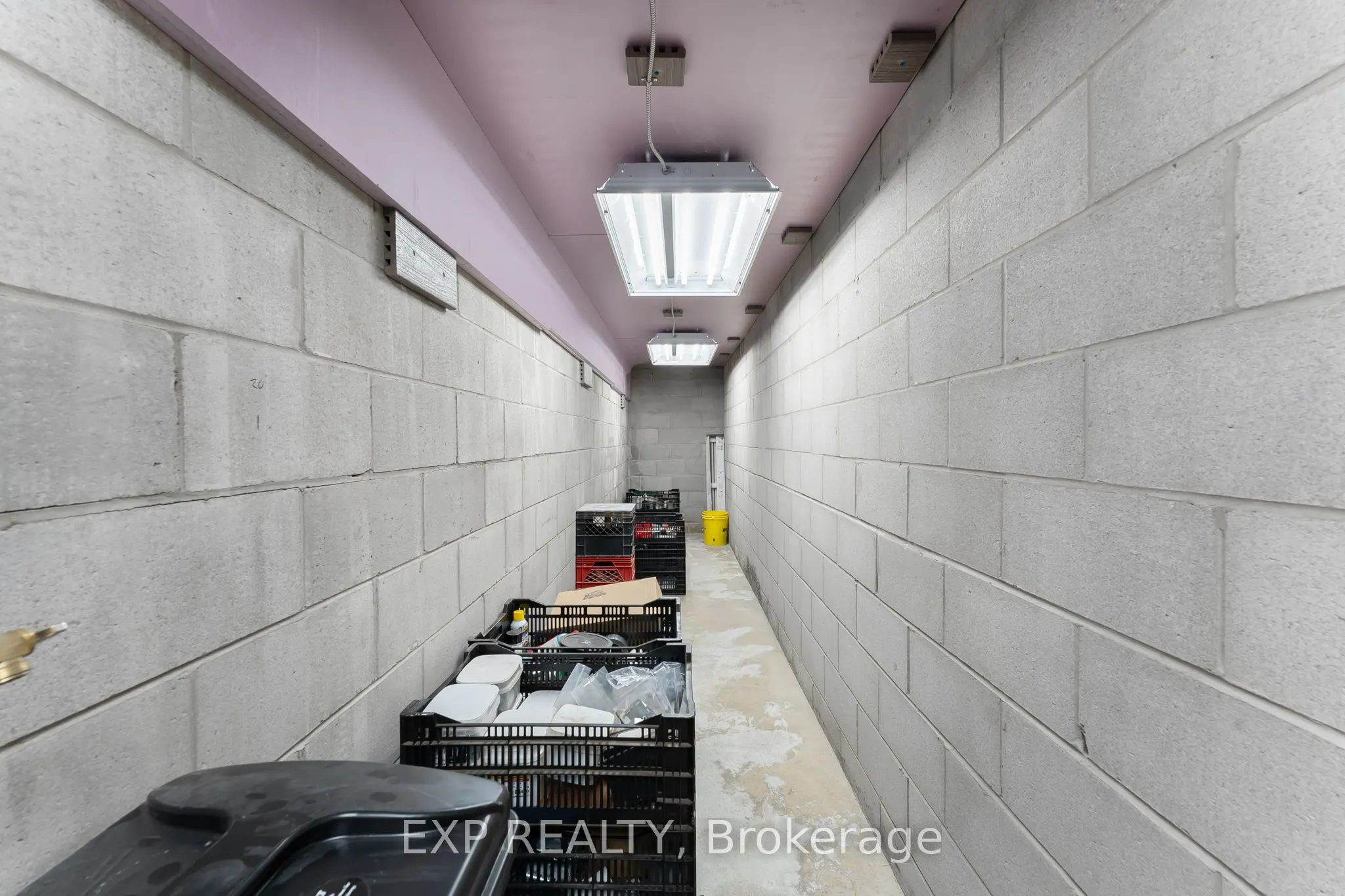 548 Millgrove Side Road