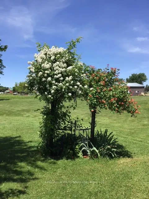 14 Fairview Crescent, #0