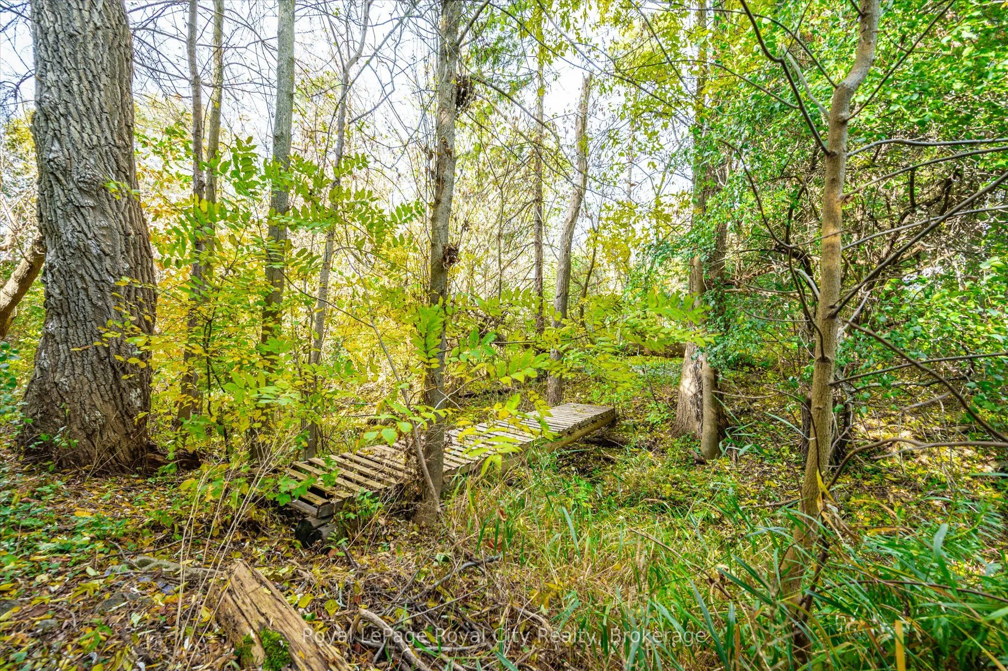 8060 Wellington Rd 18 Road