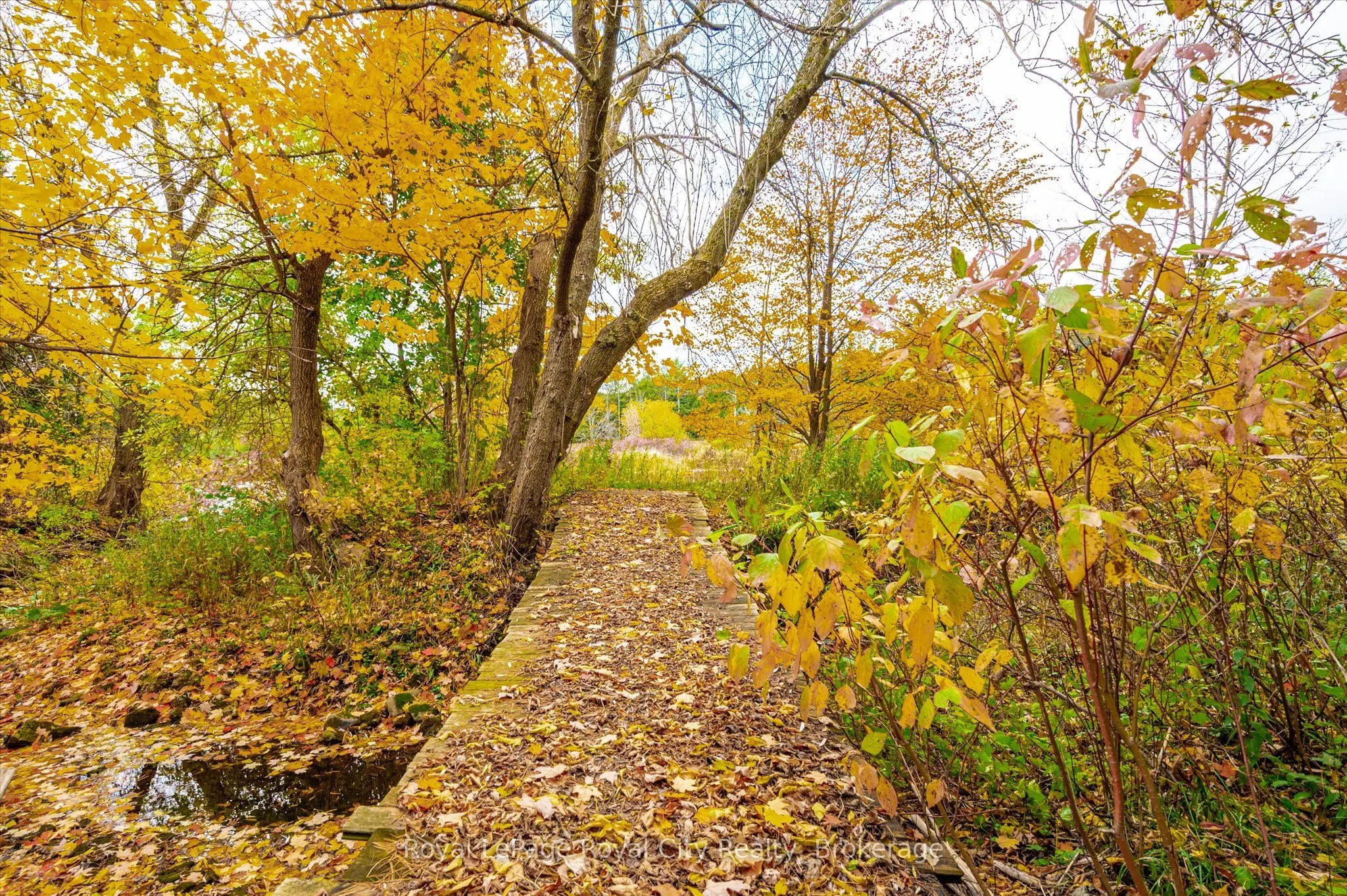 8060 Wellington Rd 18 Road