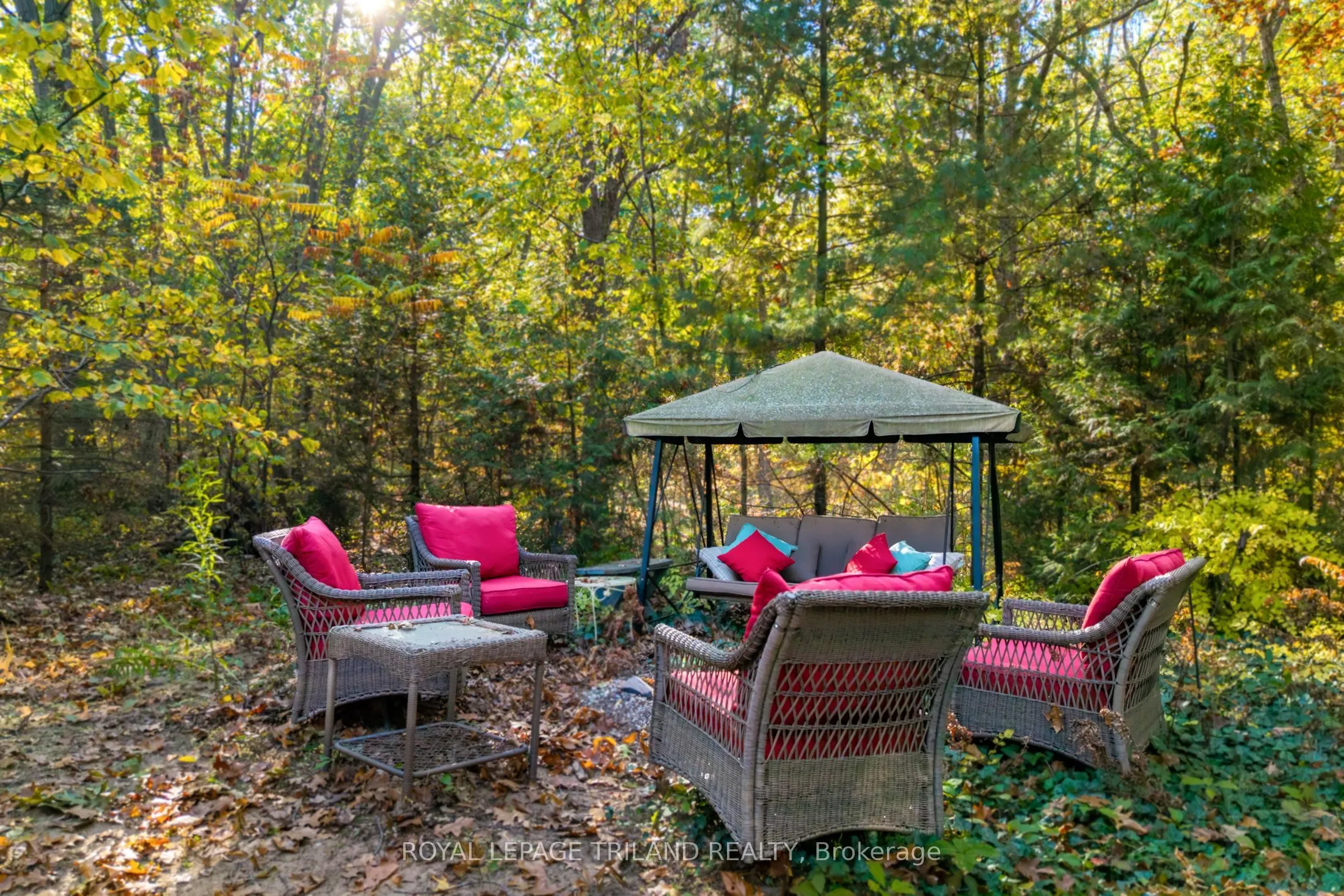 10092 Lakeshore Road