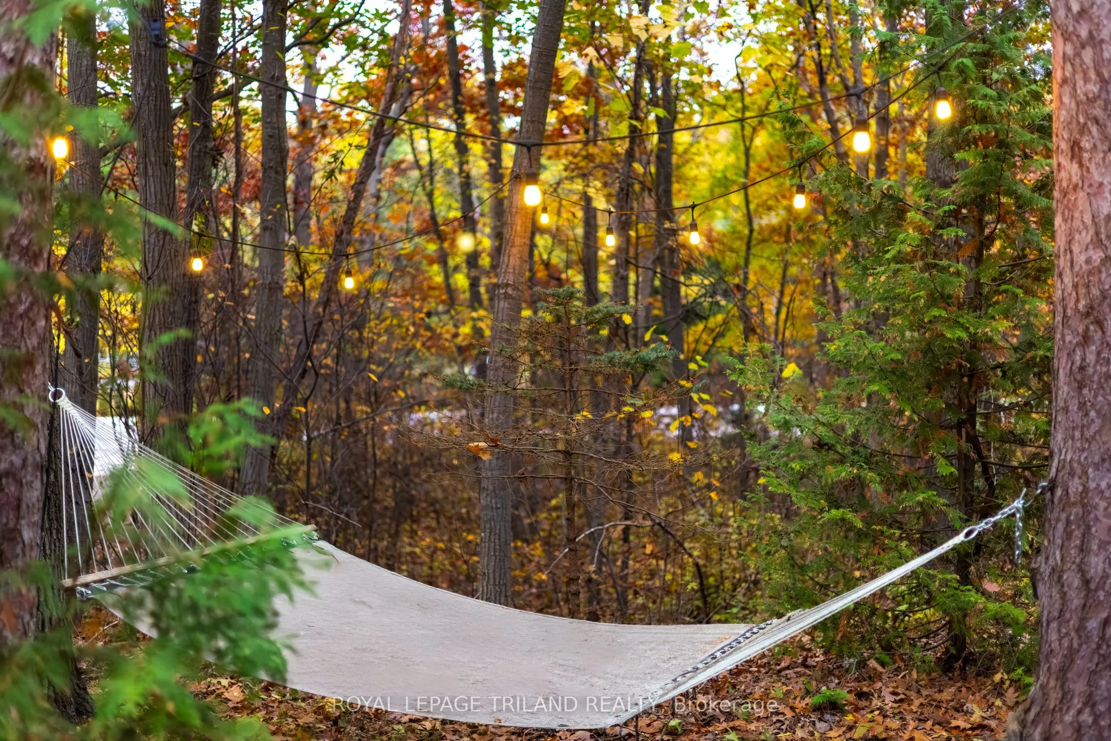 10092 Lakeshore Road