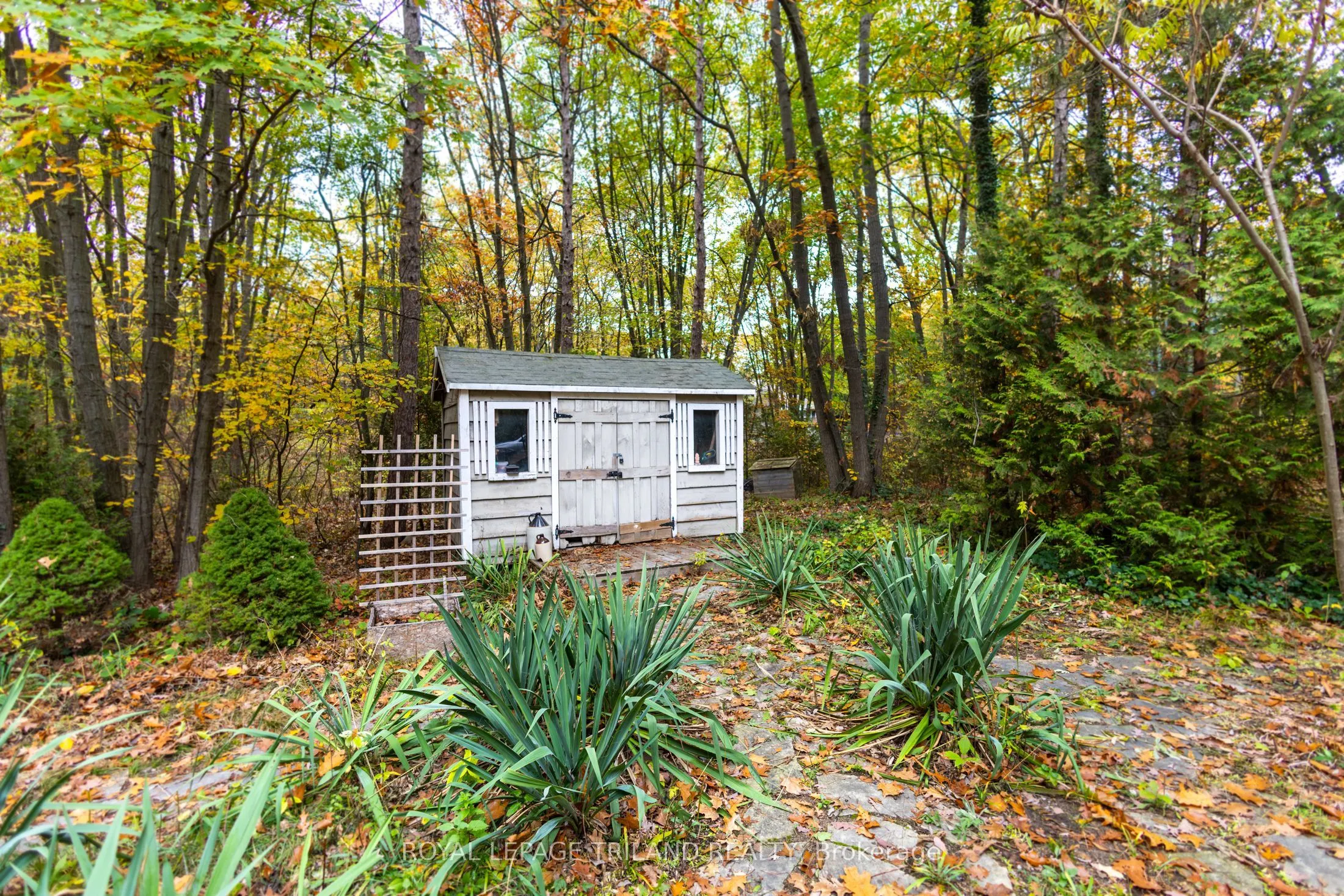 10092 Lakeshore Road