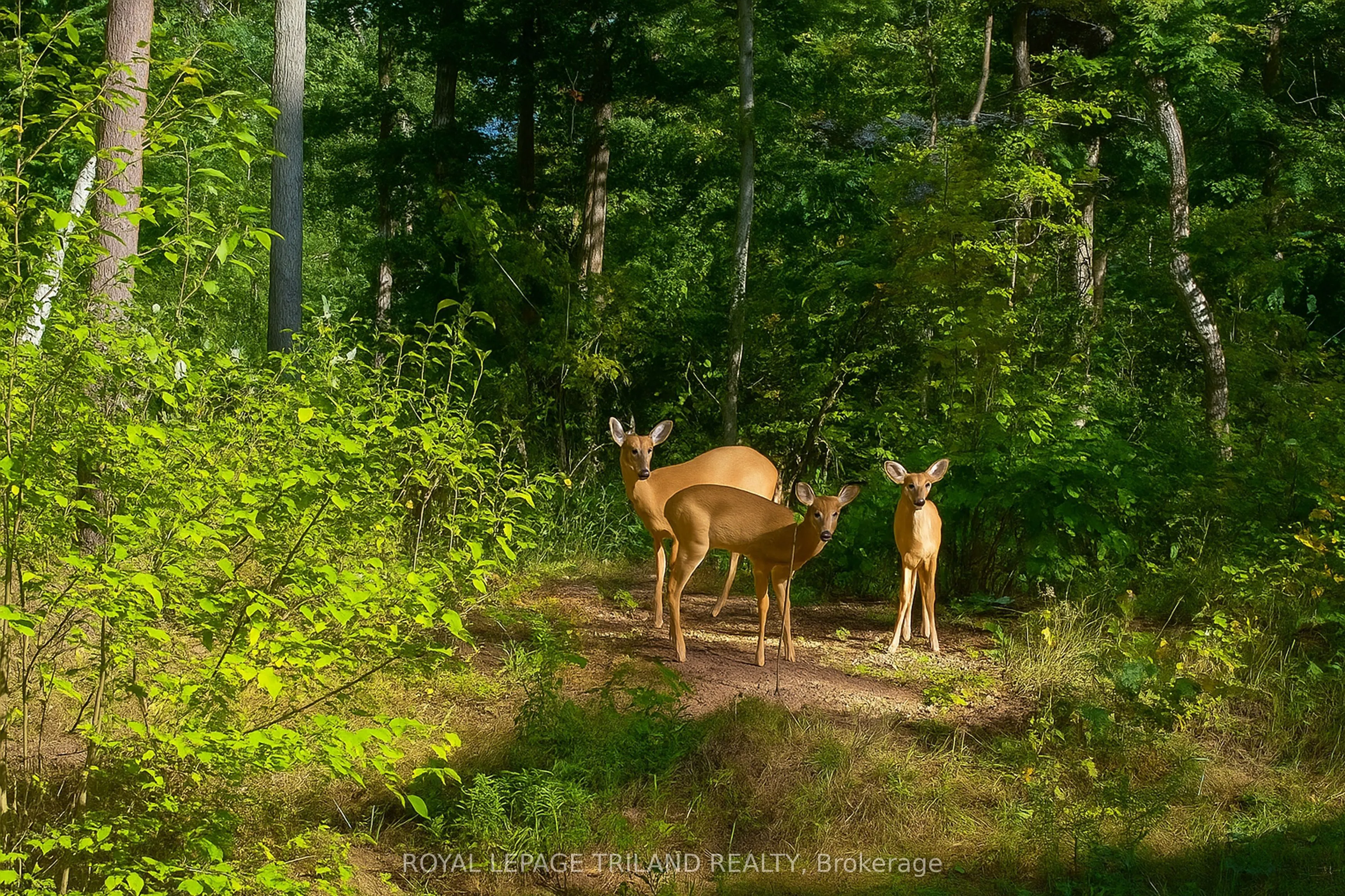 10092 Lakeshore Road