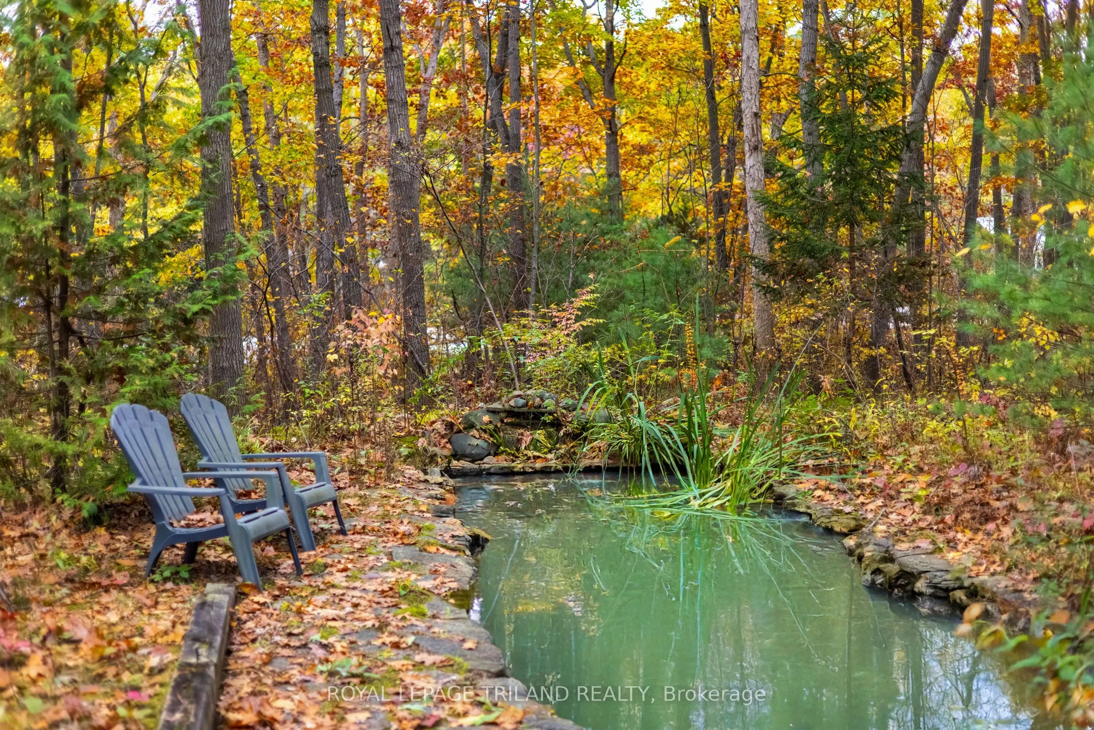 10092 Lakeshore Road