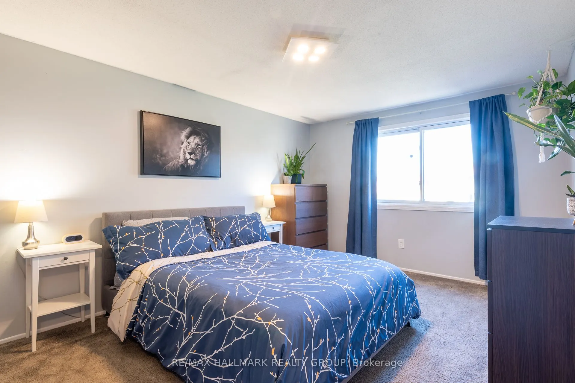 55E Foxfield Drive, #11