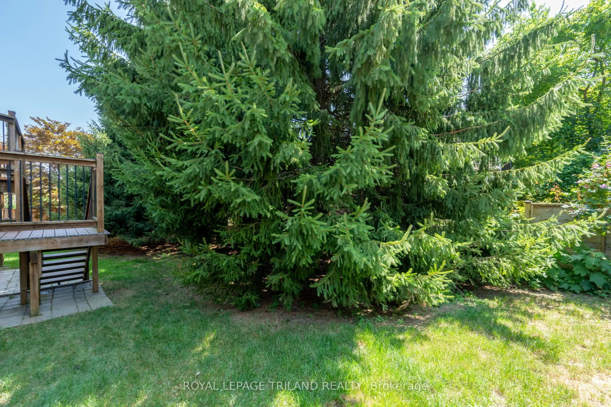 537 Crestwood Drive, #1