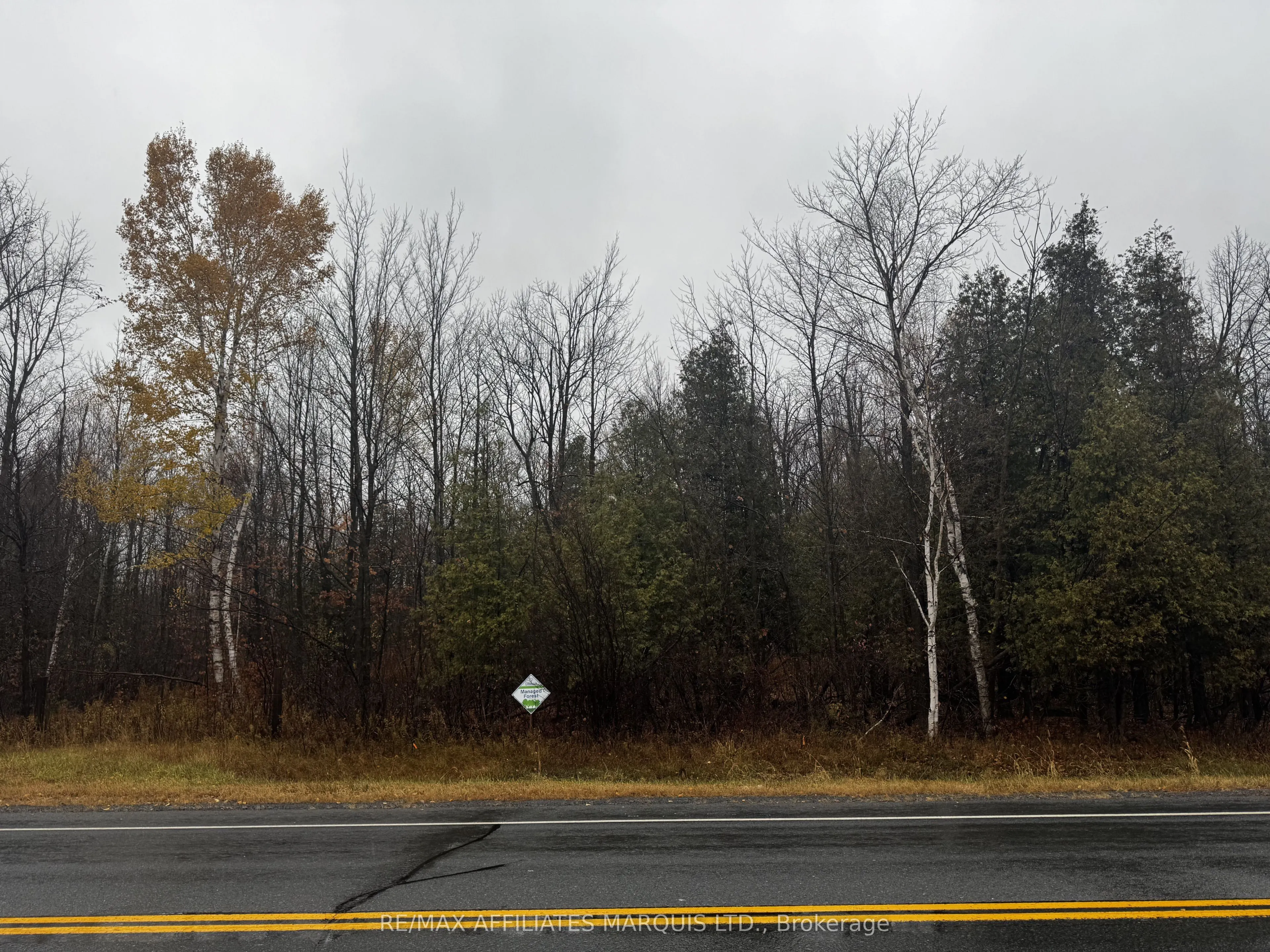 LOT COUNTY ROAD 43 Road