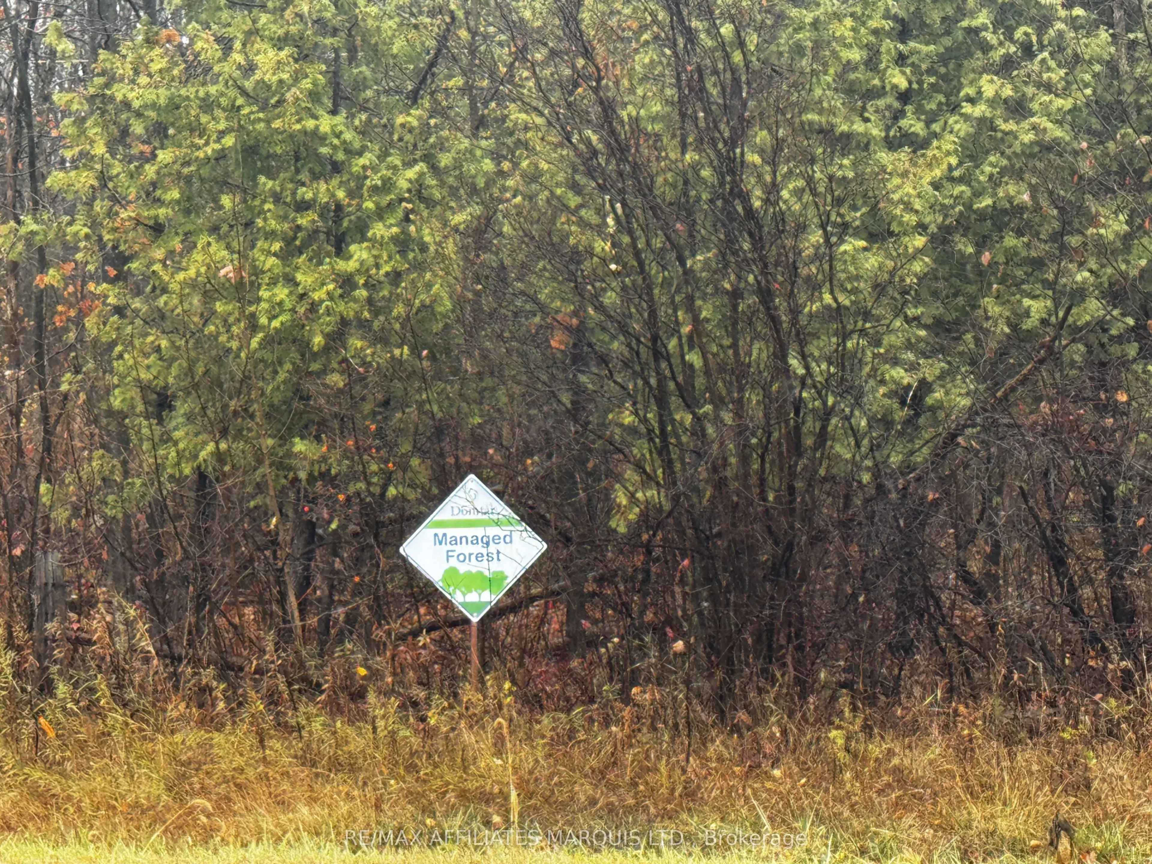 LOT COUNTY ROAD 43 Road