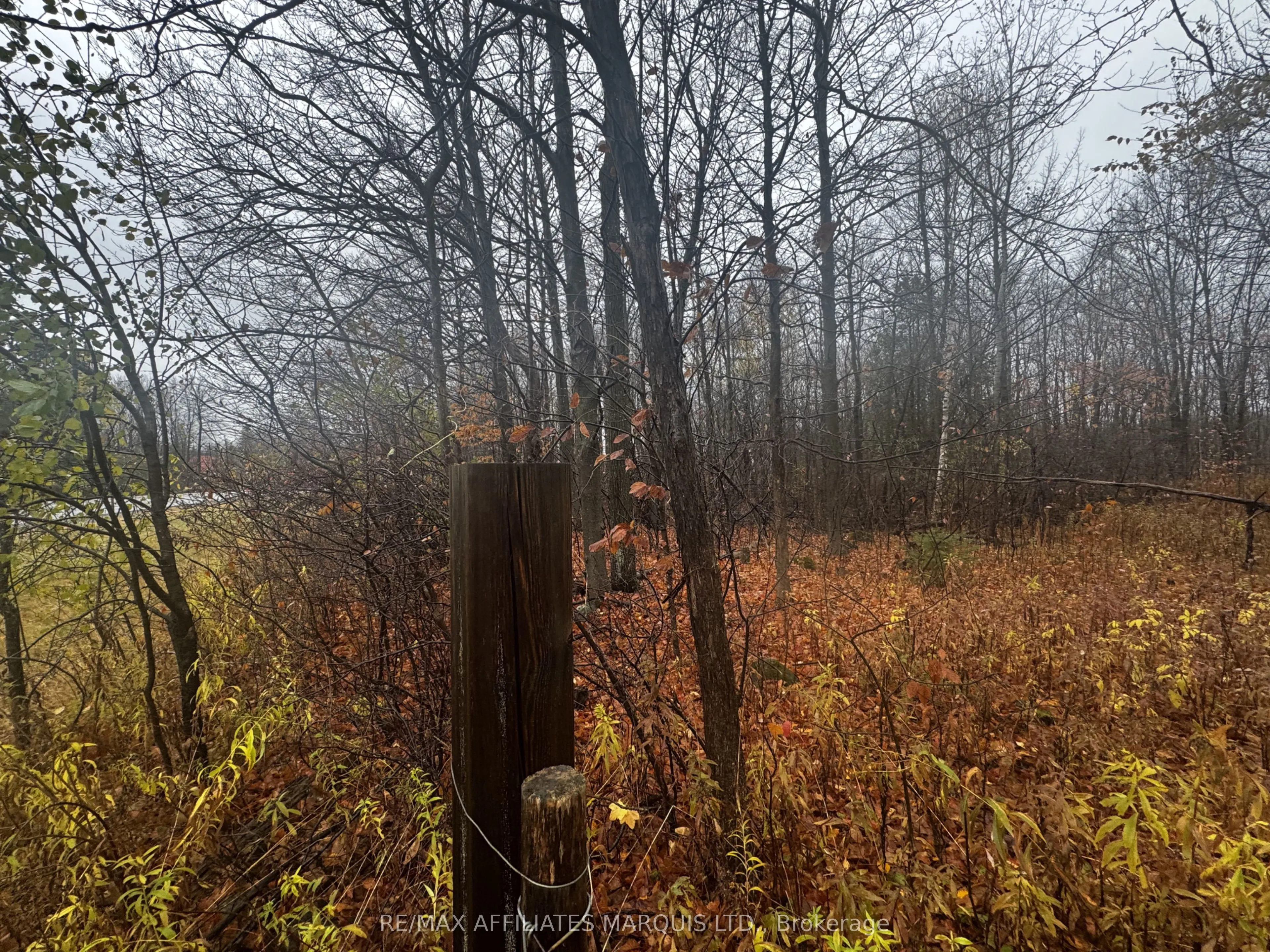 LOT COUNTY ROAD 43 Road