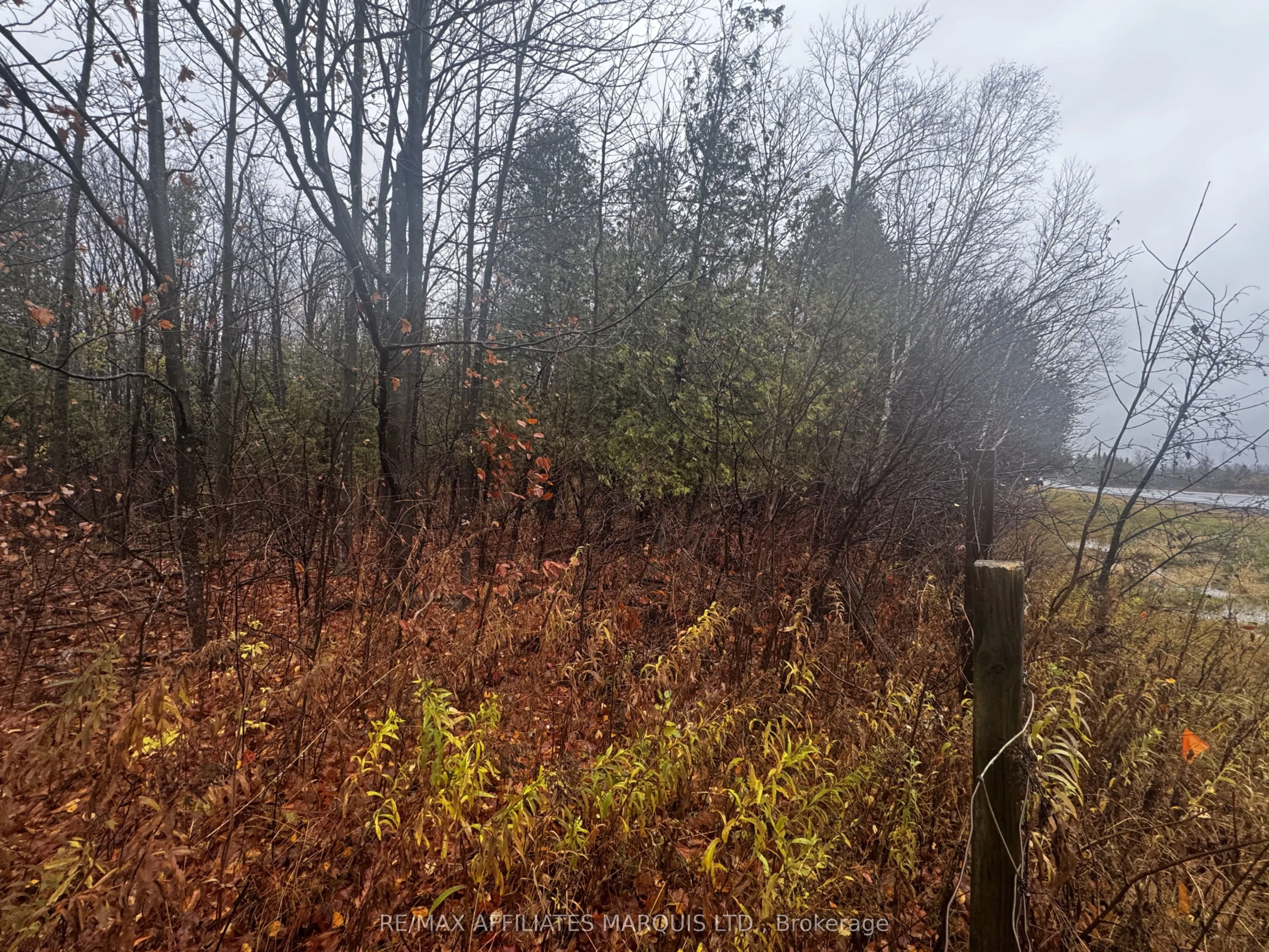 LOT COUNTY ROAD 43 Road