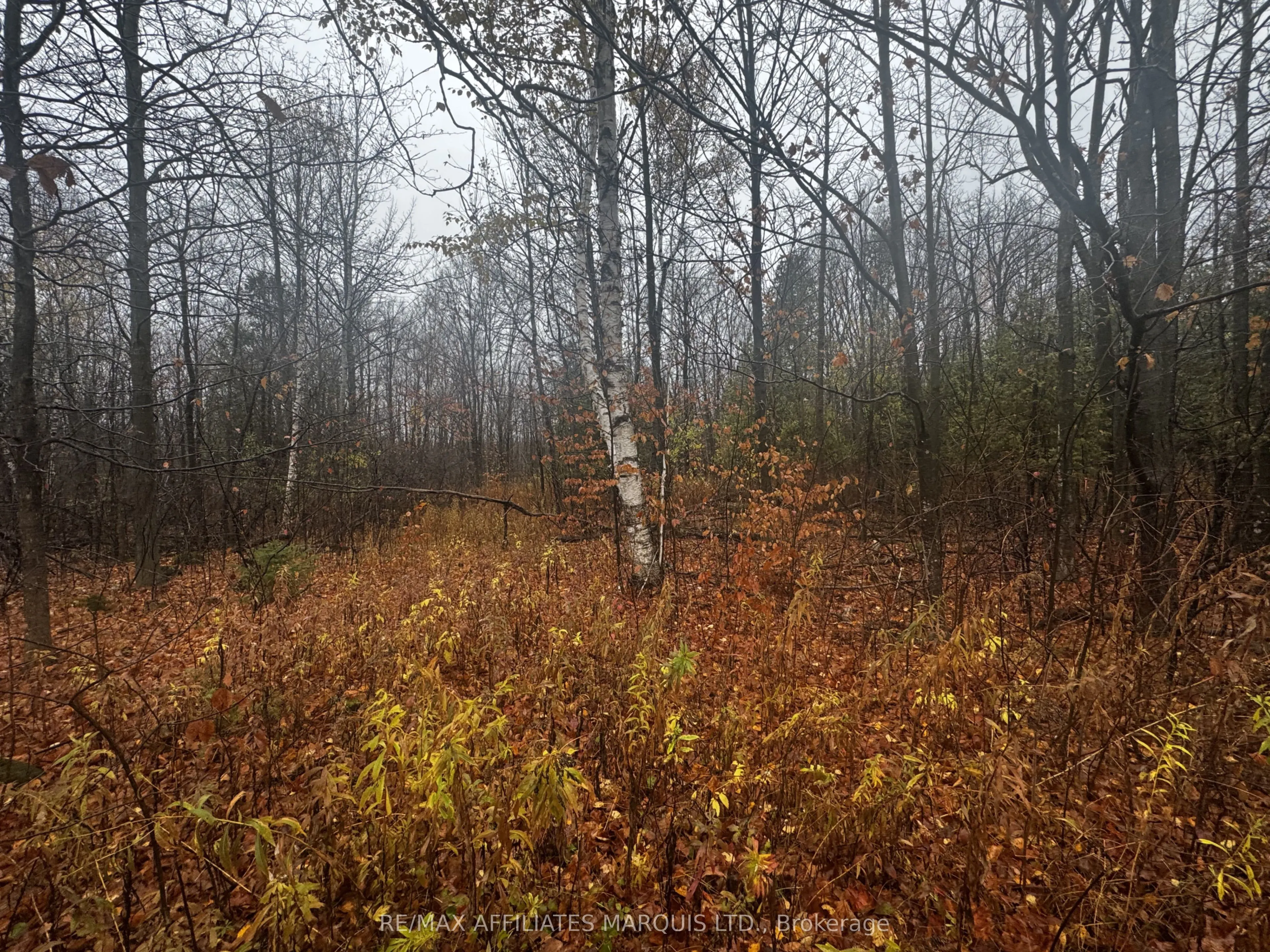 LOT COUNTY ROAD 43 Road