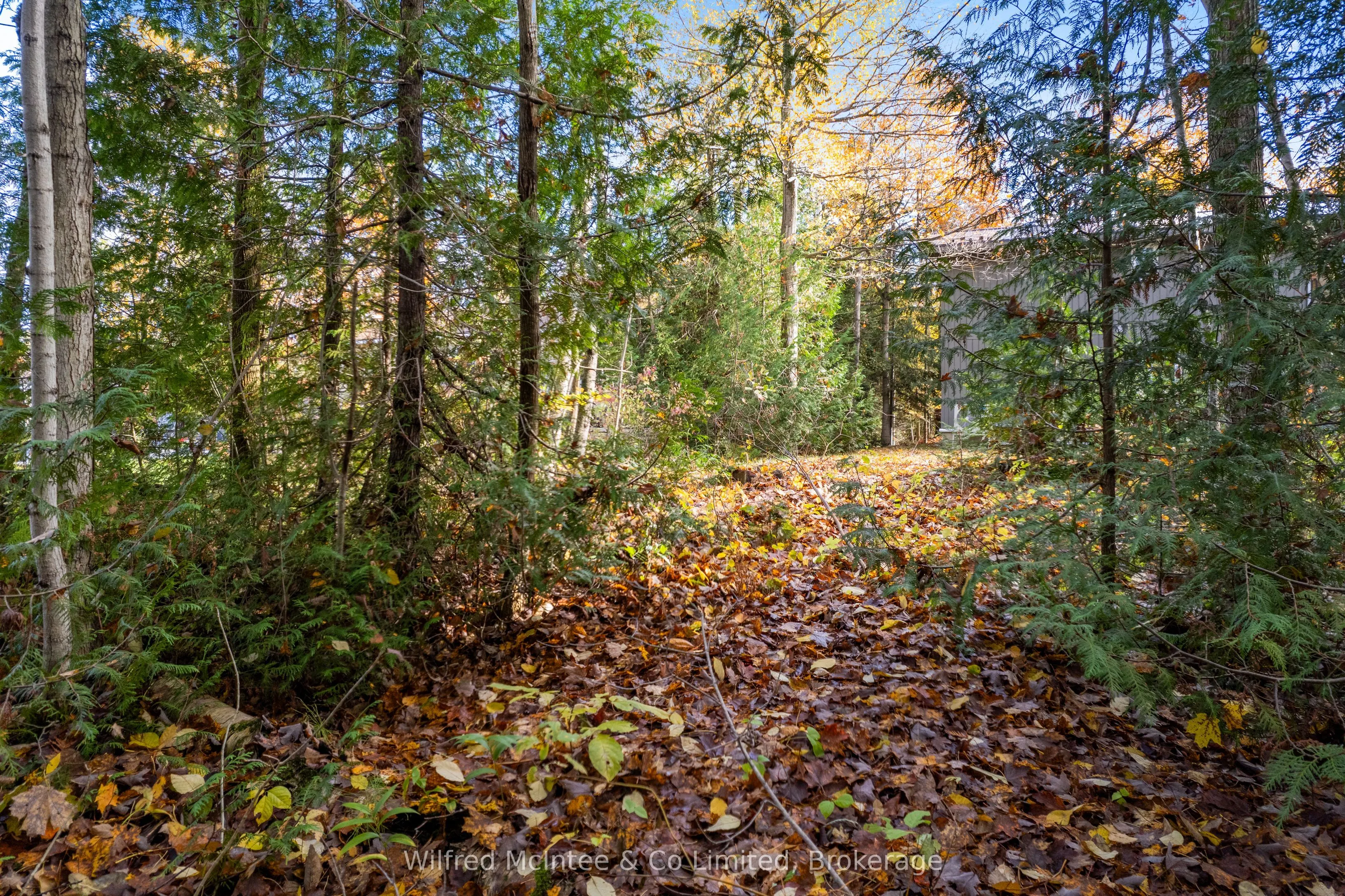 40 Rolling Hills Drive