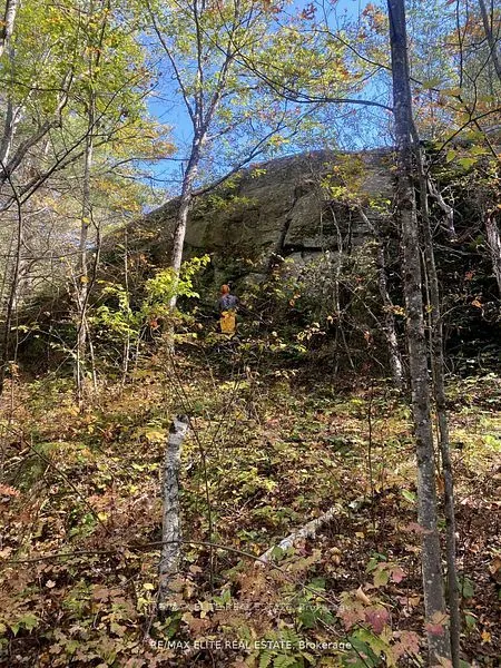1322 Boomhauer Road