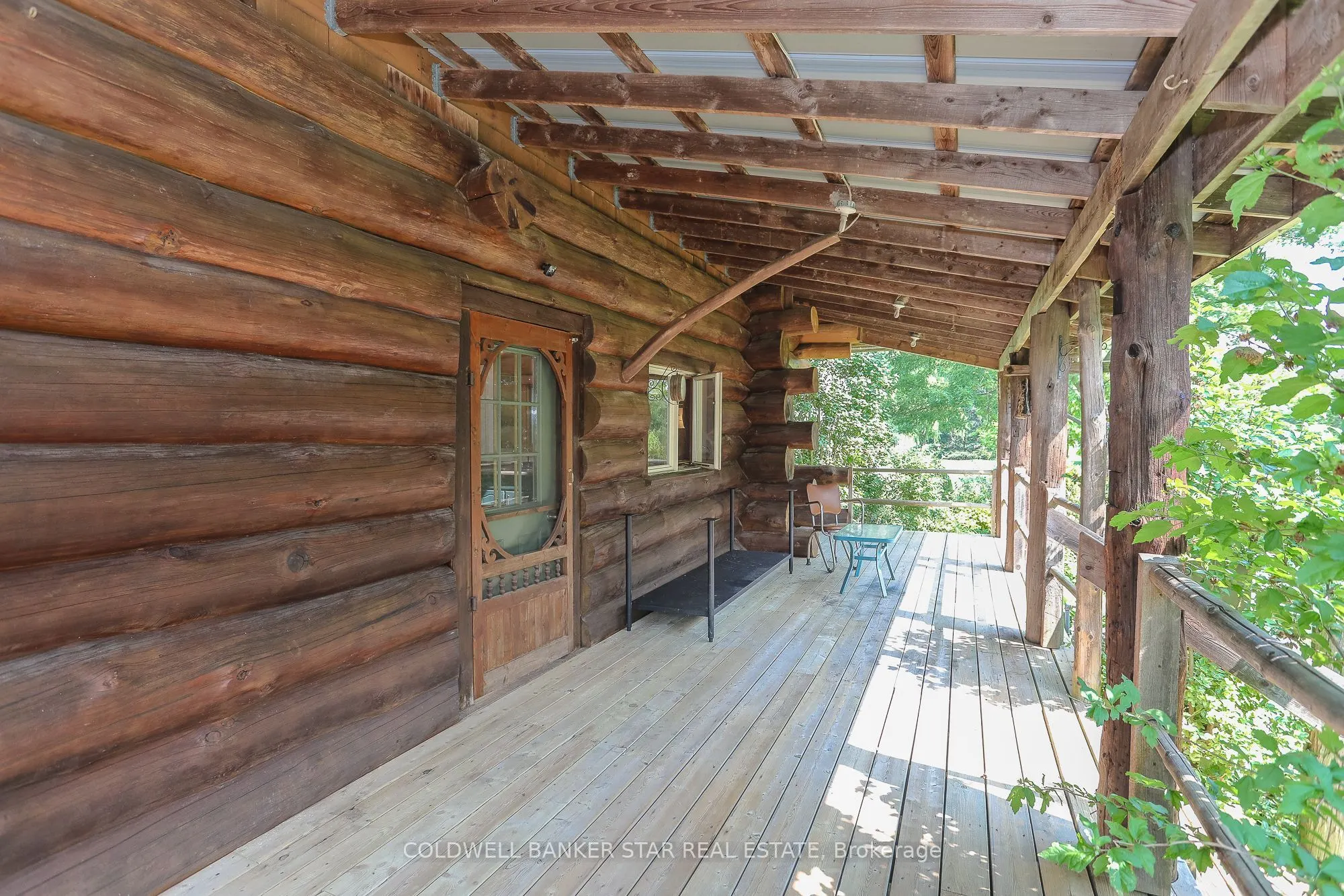 42431 RON McNEIL Line