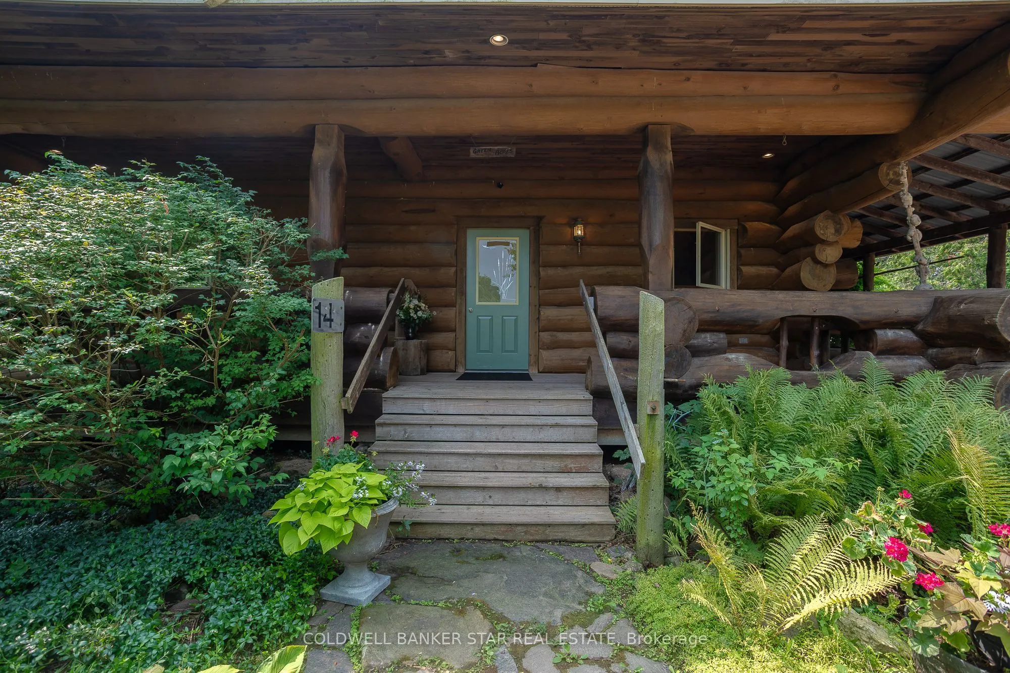 42431 RON McNEIL Line