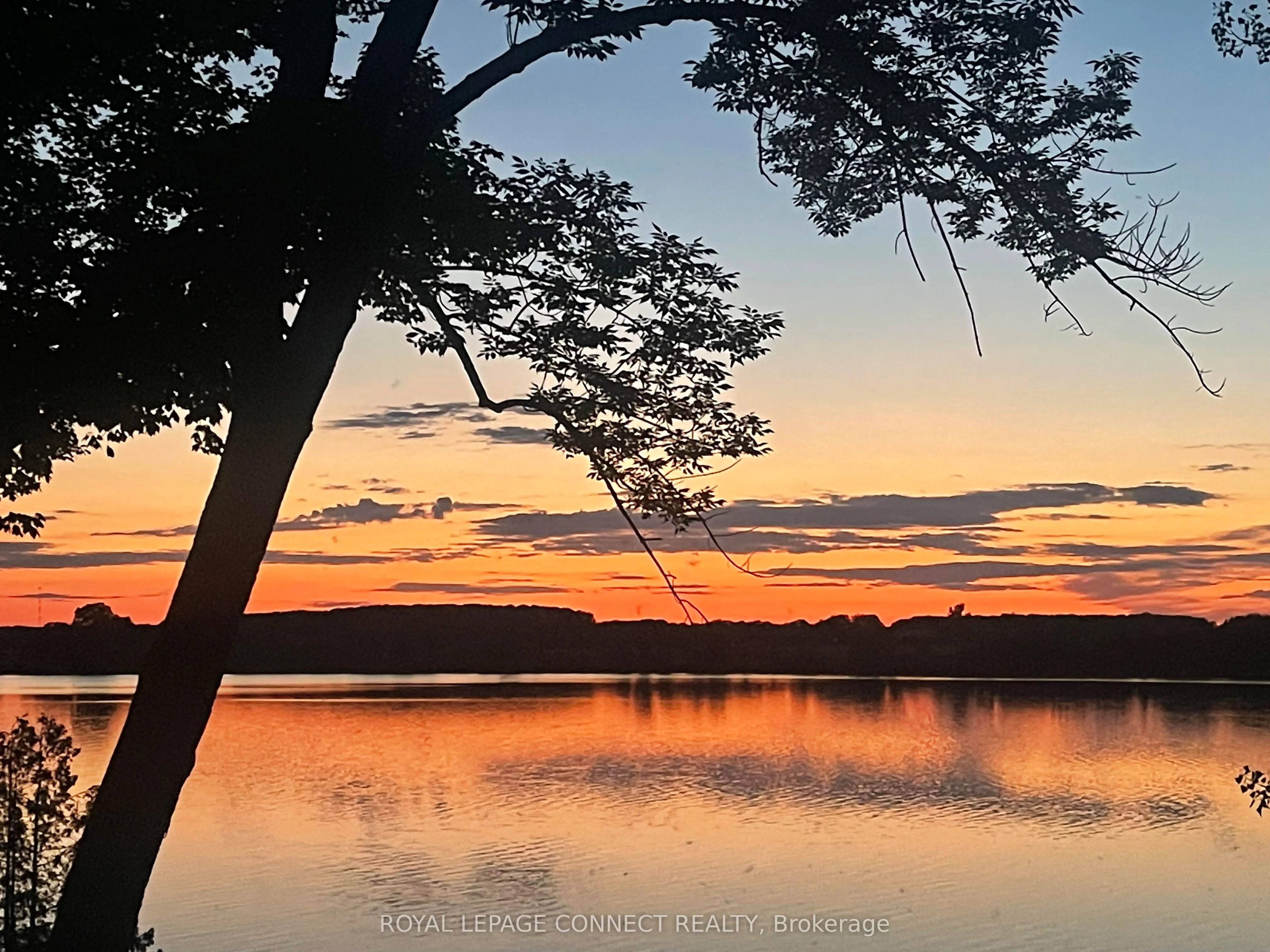 17 Hollow Lane, #222