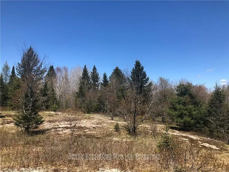 00 Pickerel & Jack Lake Road