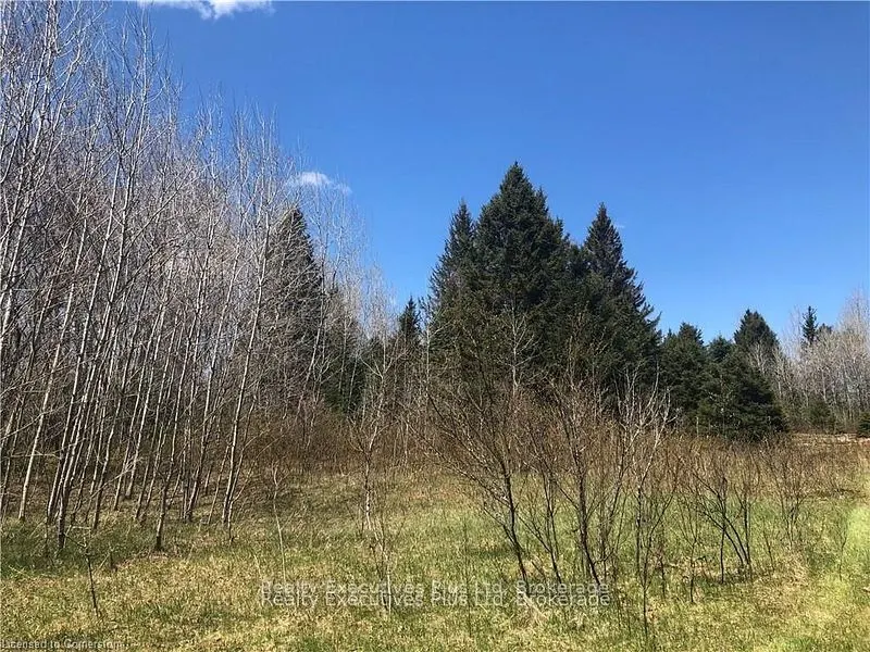 00 Pickerel & Jack Lake Road