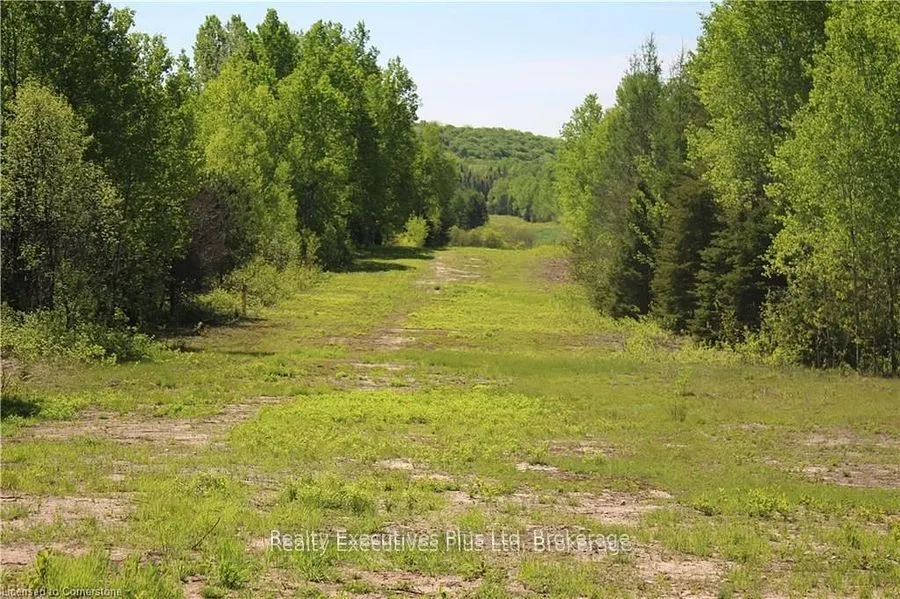 00 Pickerel & Jack Lake Road