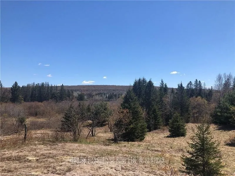 00 Pickerel & Jack Lake Road