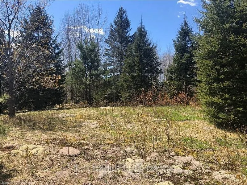 00 Pickerel & Jack Lake Road