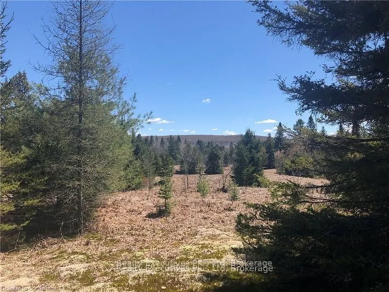 00 Pickerel & Jack Lake Road