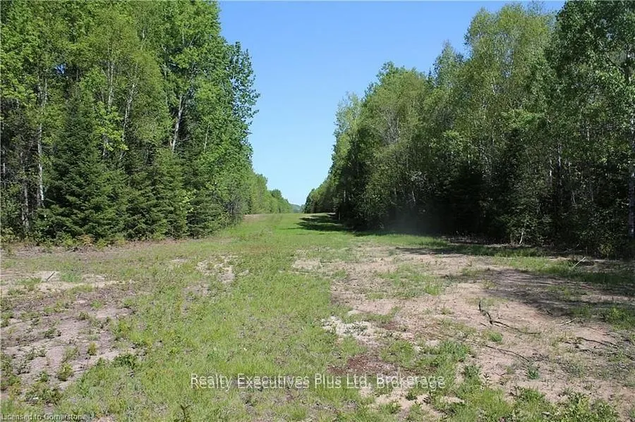 00 Pickerel & Jack Lake Road