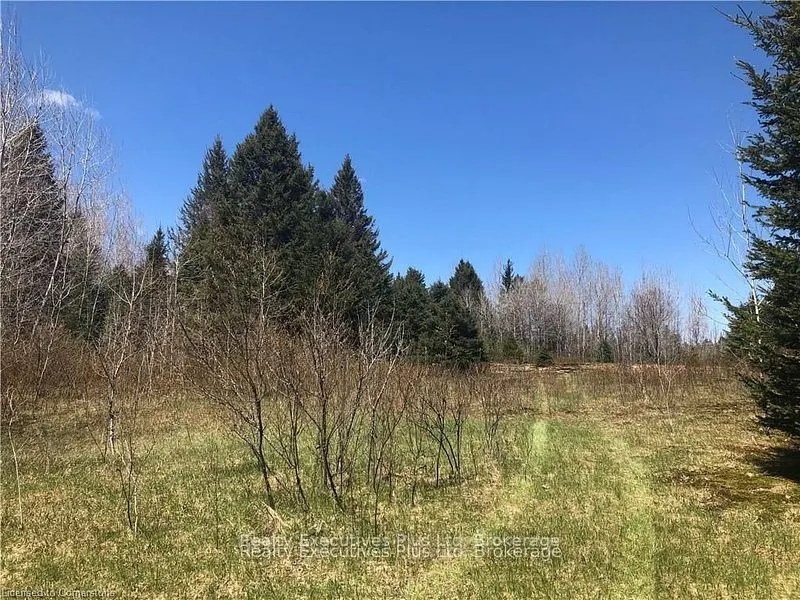 00 Pickerel & Jack Lake Road