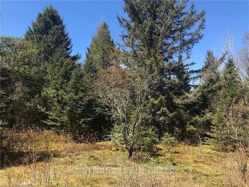 00 Pickerel & Jack Lake Road