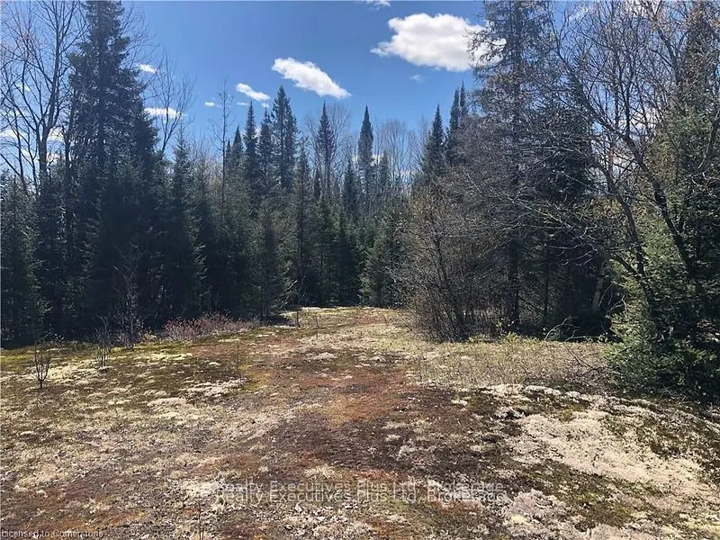 00 Pickerel & Jack Lake Road