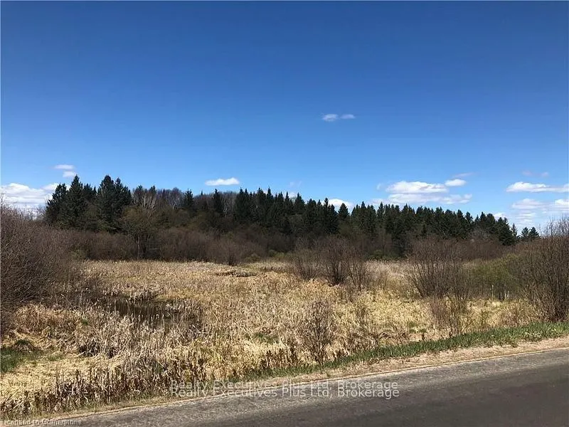 00 Pickerel & Jack Lake Road