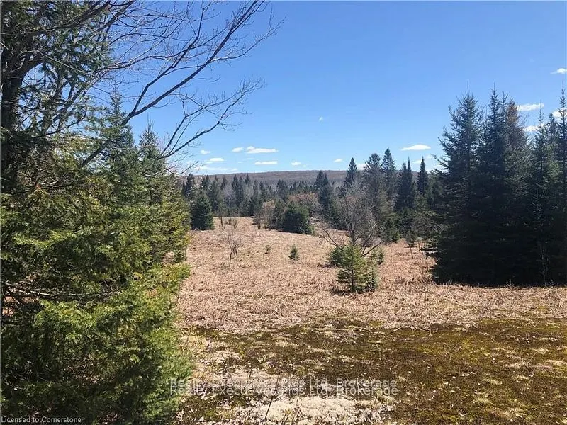 00 Pickerel & Jack Lake Road