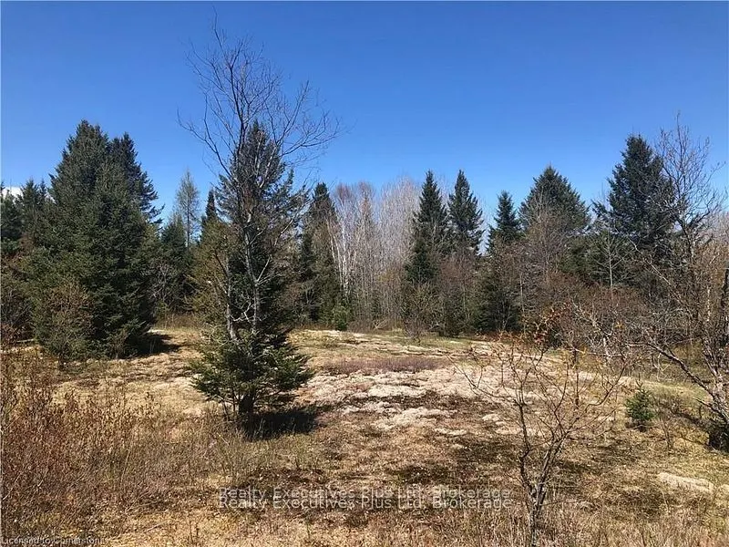 00 Pickerel & Jack Lake Road