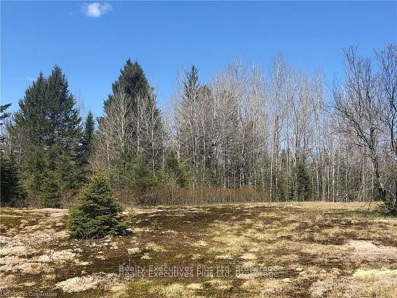 00 Pickerel & Jack Lake Road