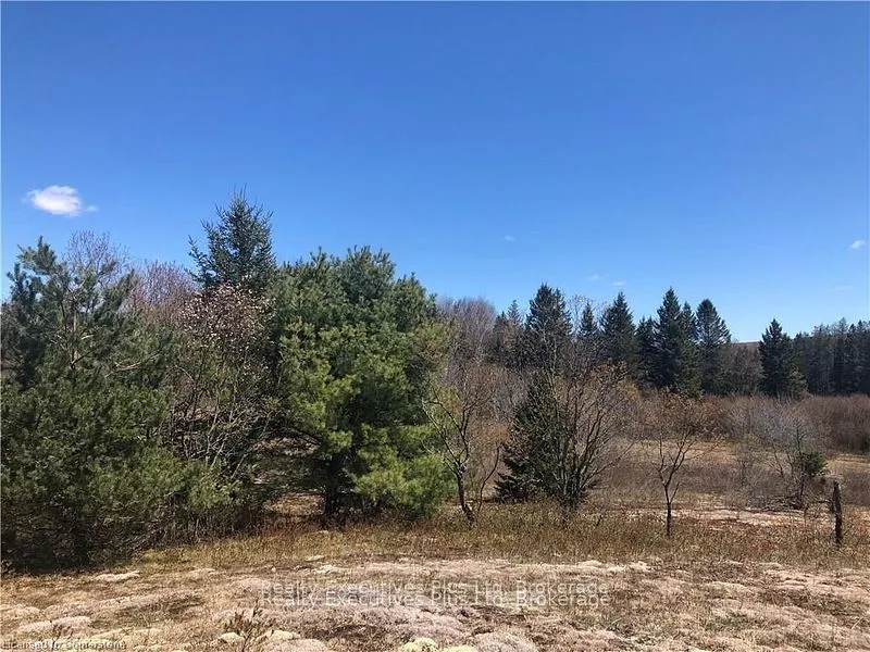 00 Pickerel & Jack Lake Road