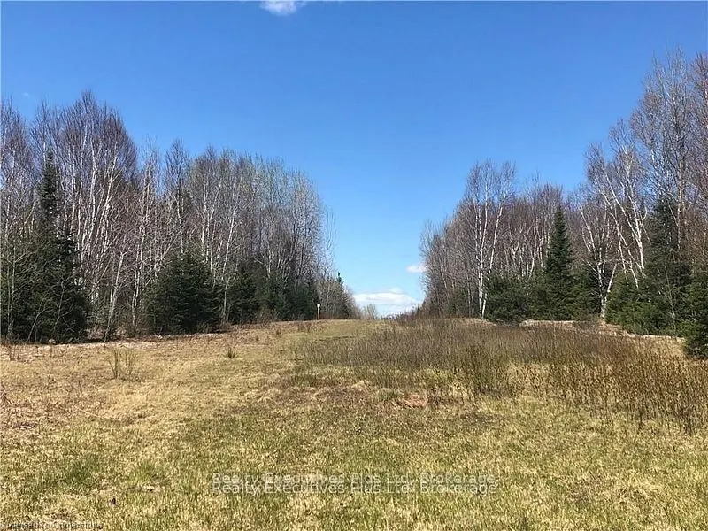 00 Pickerel & Jack Lake Road