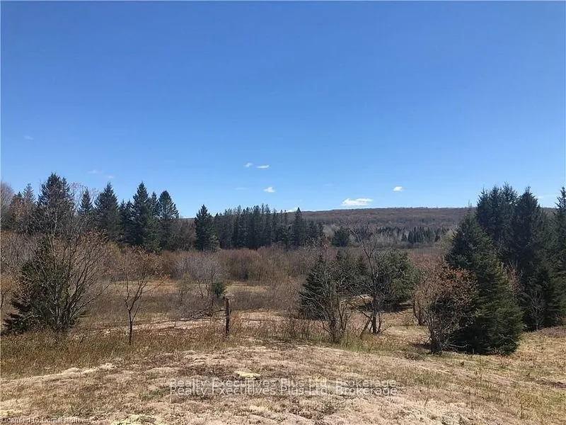 00 Pickerel & Jack Lake Road