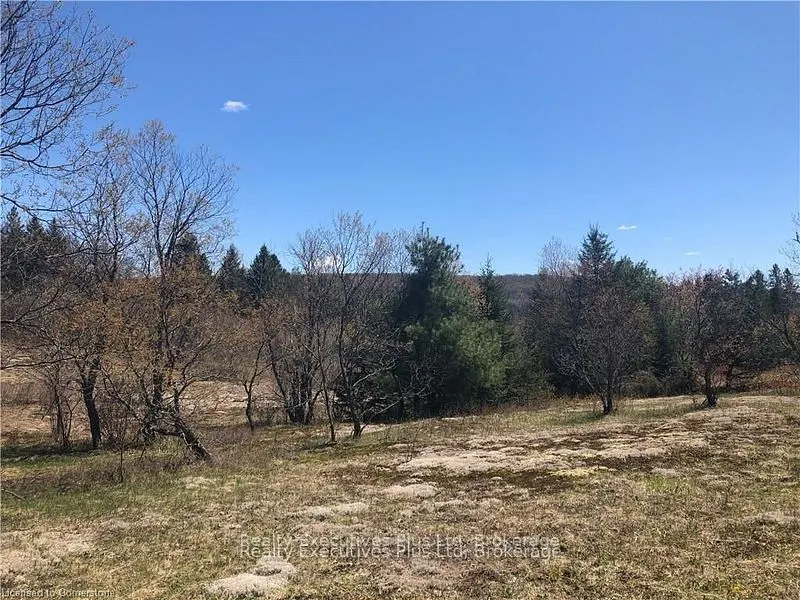 00 Pickerel & Jack Lake Road