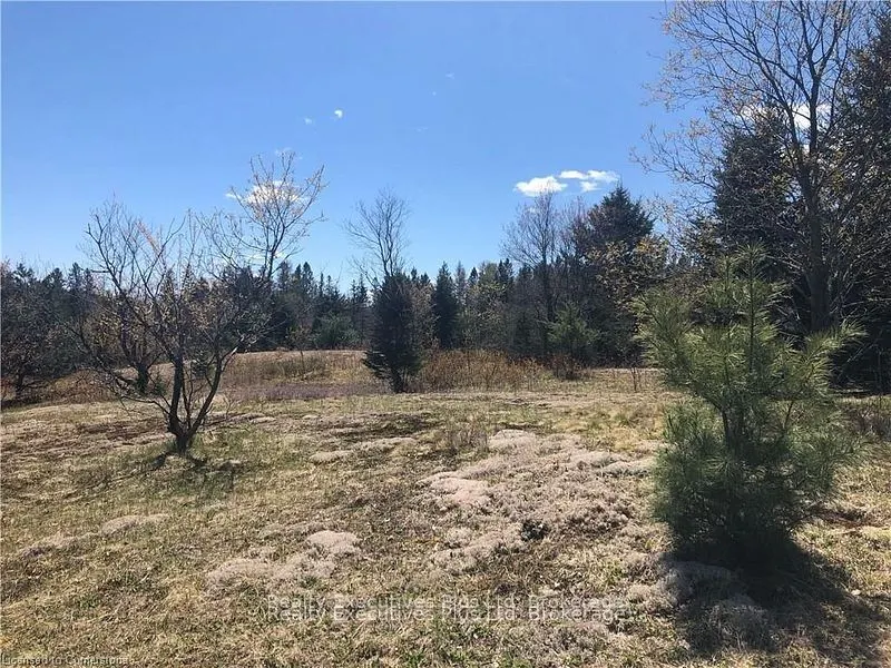 00 Pickerel & Jack Lake Road