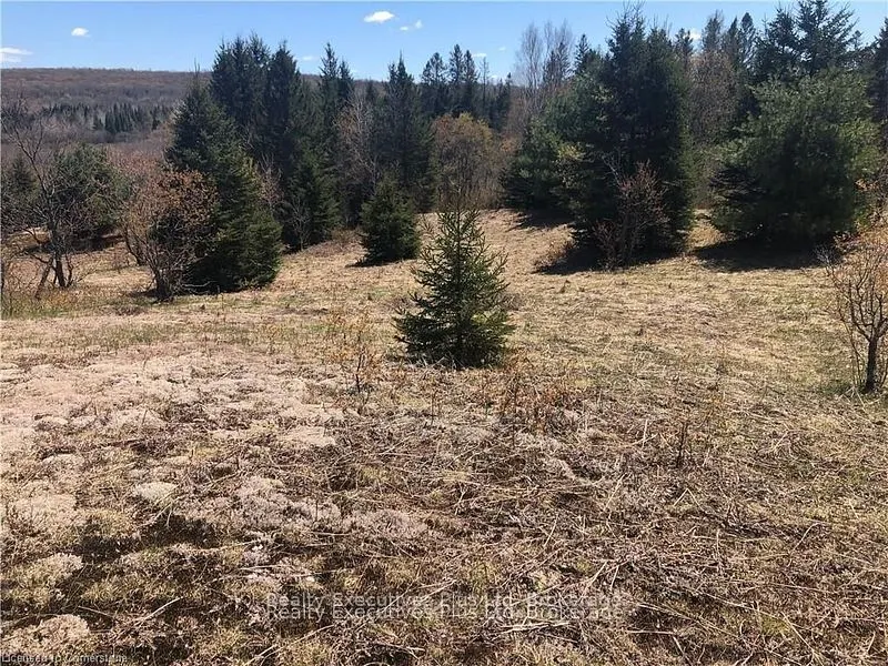 00 Pickerel & Jack Lake Road