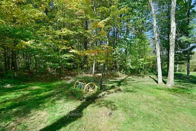 224 County Rd 5 Road